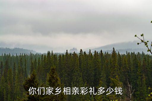你們家鄉相親彩禮多少錢