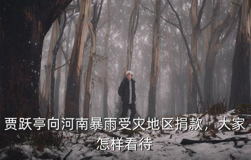 賈躍亭向河南暴雨受災地區捐款，大家怎樣看待