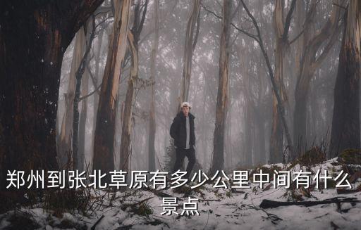 鄭州到河北滄州有多少公里,鄭州到張北草原有多少公里
