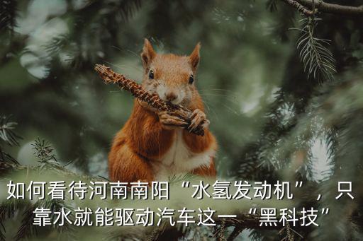如何看待河南南陽“水氫發(fā)動機”，只靠水就能驅(qū)動汽車這一“黑科技”