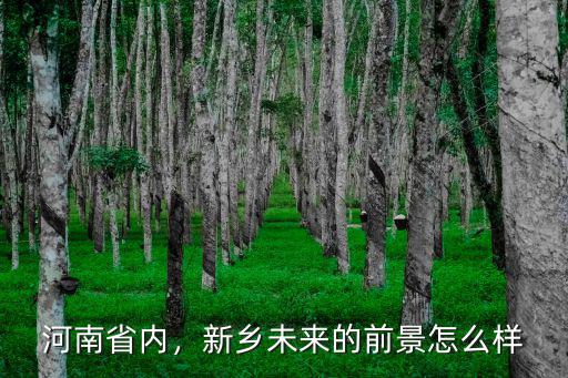 河南省內，新鄉未來的前景怎么樣