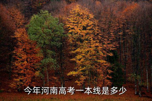 今年河南高考一本線是多少