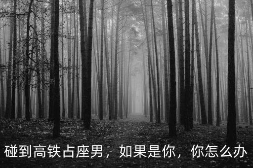 碰到高鐵占座男，如果是你，你怎么辦
