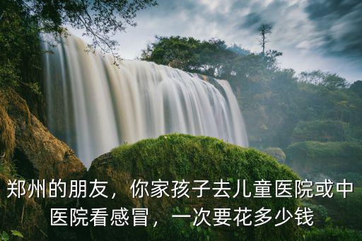 鄭州的朋友，你家孩子去兒童醫(yī)院或中醫(yī)院看感冒，一次要花多少錢