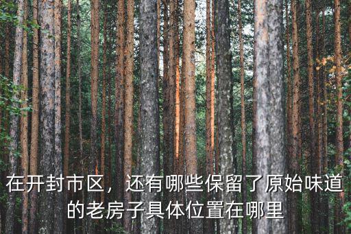 在開封市區，還有哪些保留了原始味道的老房子具體位置在哪里