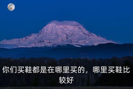 漯河哪里買鞋子好,哪里買鞋比較好