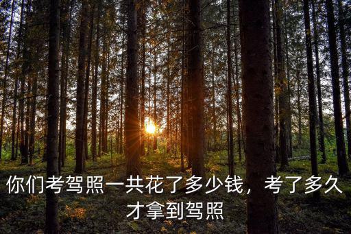 你們考駕照一共花了多少錢，考了多久才拿到駕照