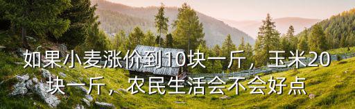 焦作地區當今玉米多少錢一斤,玉米至少漲到多少錢一斤