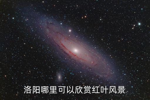 洛陽哪里可以欣賞紅葉風景