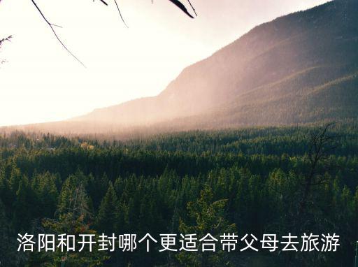 開封去哪里賞菊,開封菊花展你覺得亮點在哪里