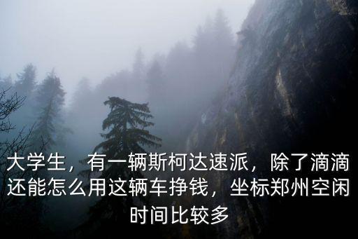 大學生，有一輛斯柯達速派，除了滴滴還能怎么用這輛車掙錢，坐標鄭州空閑時間比較多