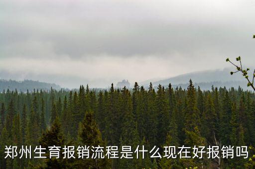鄭州生育報銷流程是什么現在好報銷嗎