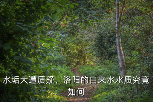 水垢大遭質(zhì)疑，洛陽的自來水水質(zhì)究竟如何