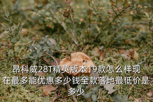 昂科威28T精英版本19款怎么樣現在最多能優惠多少錢全款落地最低價是多少