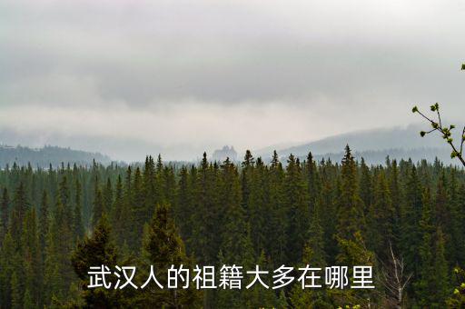 武漢人的祖籍大多在哪里