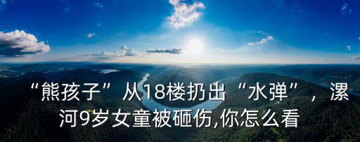“熊孩子”從18樓扔出“水彈”，漯河9歲女童被砸傷,你怎么看