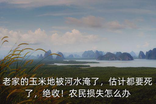 老家的玉米地被河水淹了，估計都要死了，絕收！農民損失怎么辦