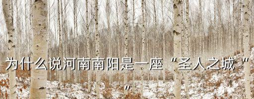 為什么說河南南陽是一座“圣人之城“”