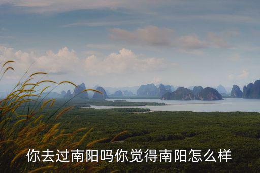 你去過南陽嗎你覺得南陽怎么樣