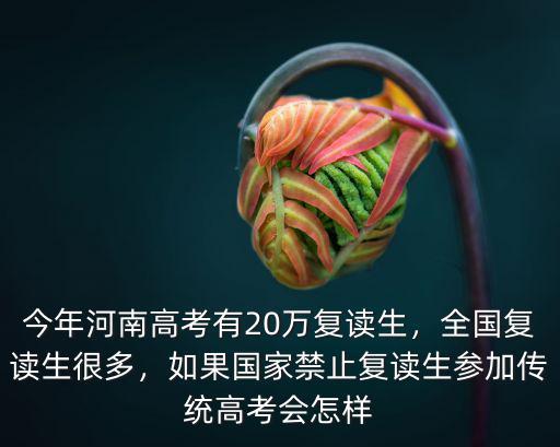今年河南高考有20萬復讀生，全國復讀生很多，如果國家禁止復讀生參加傳統高考會怎樣