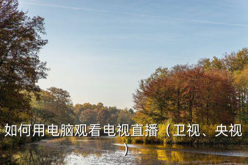 如何用電腦觀看電視直播（衛(wèi)視、央視）