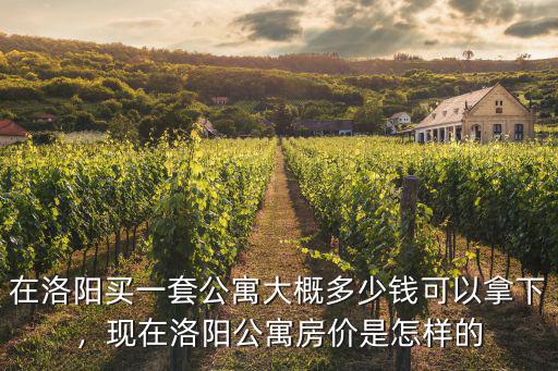 在洛陽買一套公寓大概多少錢可以拿下，現在洛陽公寓房價是怎樣的