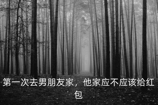 南陽(yáng)第一次去男朋友家紅包多少錢,第一次去男朋友家