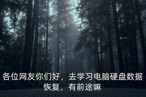新鄉(xiāng)哪里有做硬盤數(shù)據(jù)恢復(fù)的,在哪里有恢復(fù)的