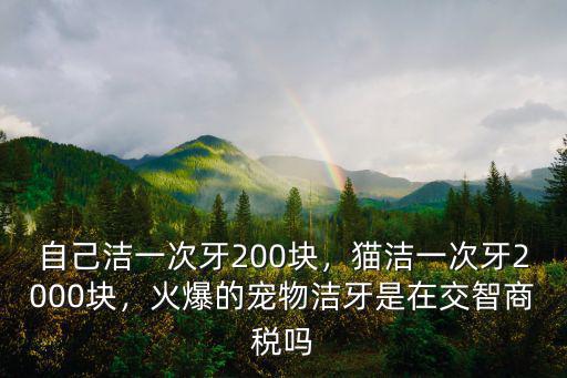 自己潔一次牙200塊，貓潔一次牙2000塊，火爆的寵物潔牙是在交智商稅嗎