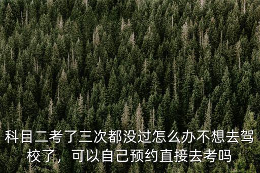 南陽天一駕校考科目二沒過怎么辦,科目二考了三次都沒過怎么辦