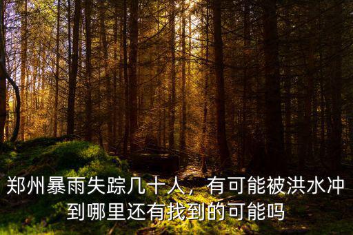 新鄉(xiāng)暴雨洪水流向哪里釋放,新鄉(xiāng)的雨水流向哪里