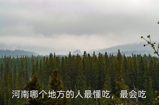 河南哪個(gè)地方的人最懂吃，最會(huì)吃