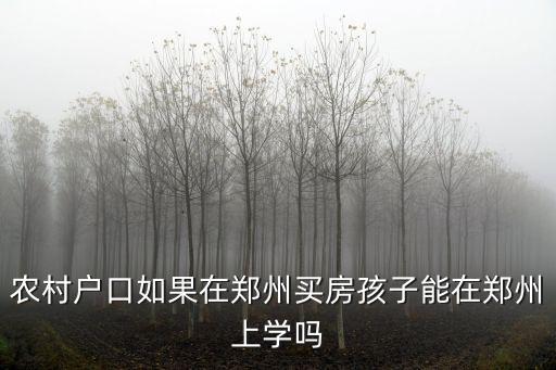 農村戶口如果在鄭州買房孩子能在鄭州上學嗎