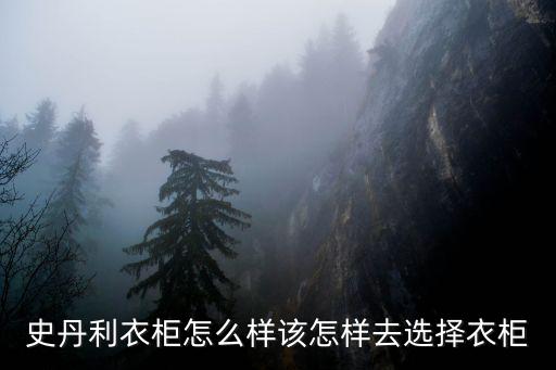 史丹利衣柜怎么樣該怎樣去選擇衣柜