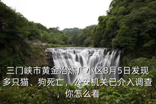 三門峽市黃金冶煉廠小區8月5日發現多只貓、狗死亡，公安機關已介入調查，你怎么看