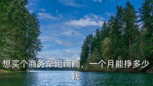 想買個商務車跑滴滴，一個月能掙多少錢