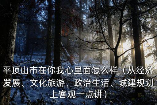 平頂山市副食品公司怎么樣,平頂山市在你我心里面怎么樣