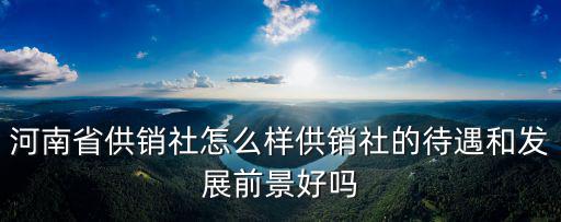 鄭州供銷社貿易站怎么樣,河南省供銷社怎么樣