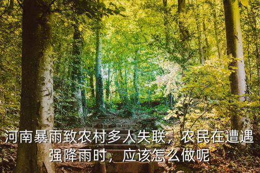 河南暴雨致農村多人失聯，農民在遭遇強降雨時，應該怎么做呢