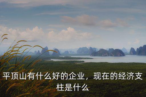 平頂山有什么好的企業，現在的經濟支柱是什么