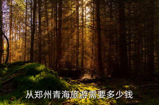 在鄭州4天帶多少錢夠玩,在鄭州生活每月需要多少錢