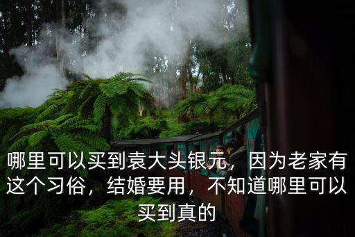 濮陽哪里有袁大頭,家中有幾枚袁大頭
