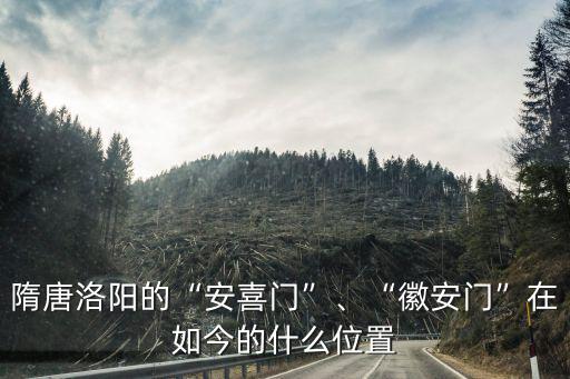 洛陽哪里有做大門的,隋唐洛陽的安喜門