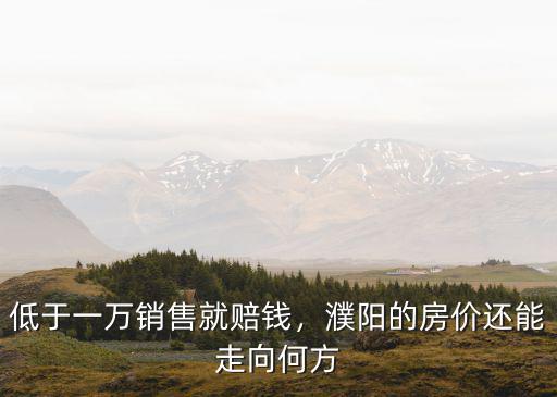低于一萬銷售就賠錢，濮陽的房價還能走向何方