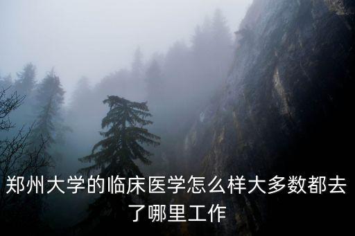 鄭州大學醫學系在哪里,鄭州大學的臨床醫學怎么樣