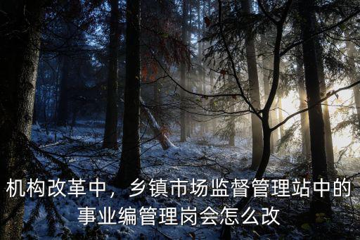 信陽市機構改革鄉鎮怎么改,鄉鎮安監站會怎么改