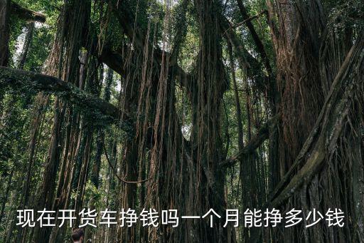 周口開小貨車每月多少錢,一個月能掙多少錢