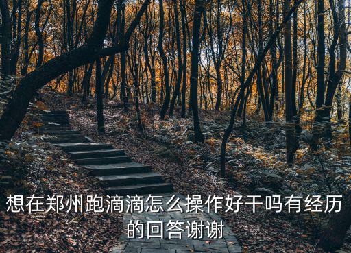 想在鄭州跑滴滴怎么操作好干嗎有經歷的回答謝謝