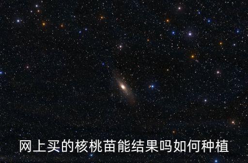網上買的核桃苗能結果嗎如何種植