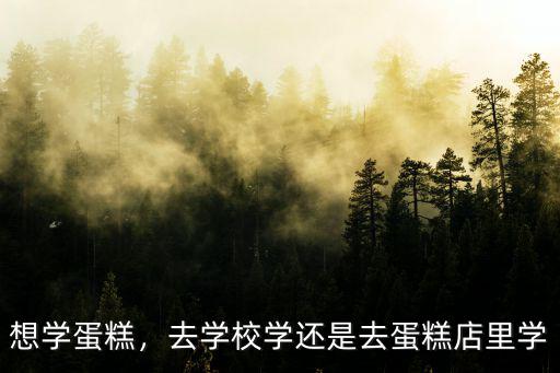 河南湯陰蛋糕糕點培訓去哪里學,去學校學還是去蛋糕店里學